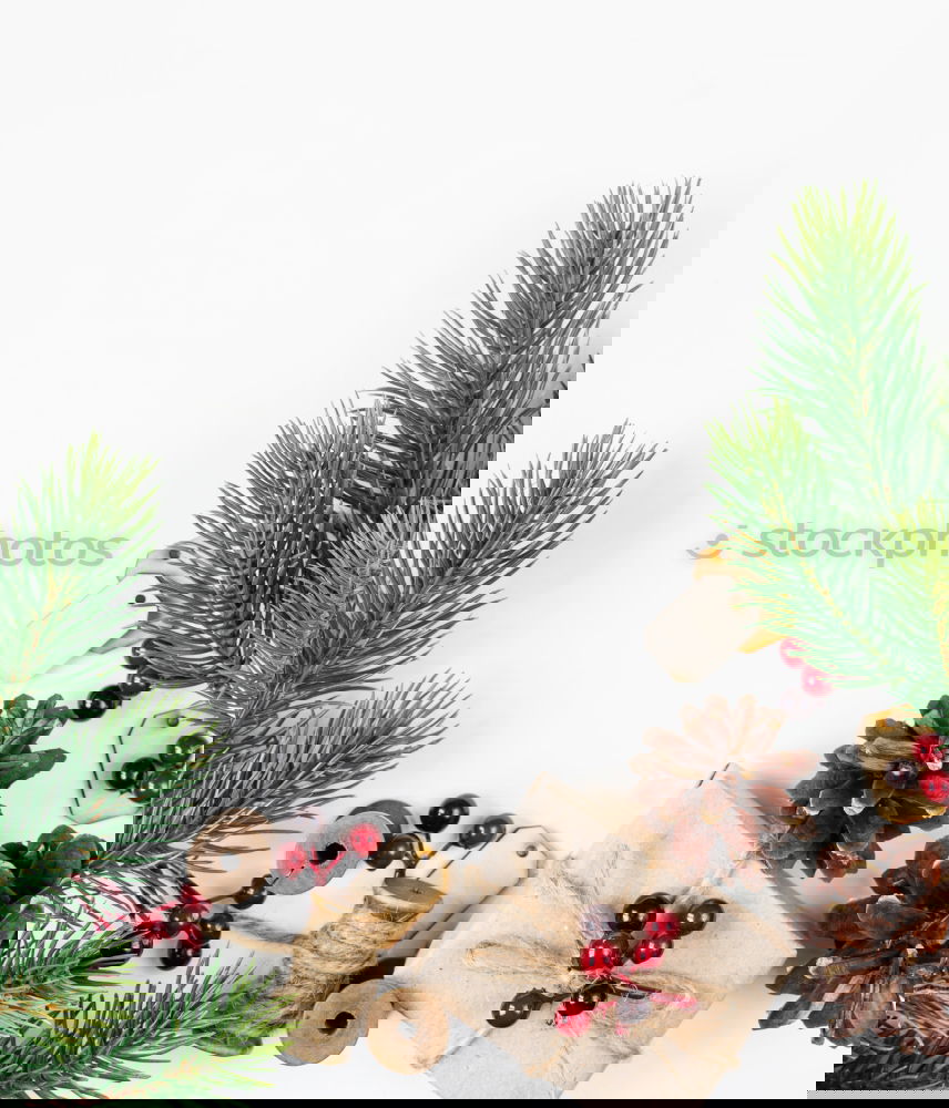 Similar – Image, Stock Photo Christmas presents creative layout.