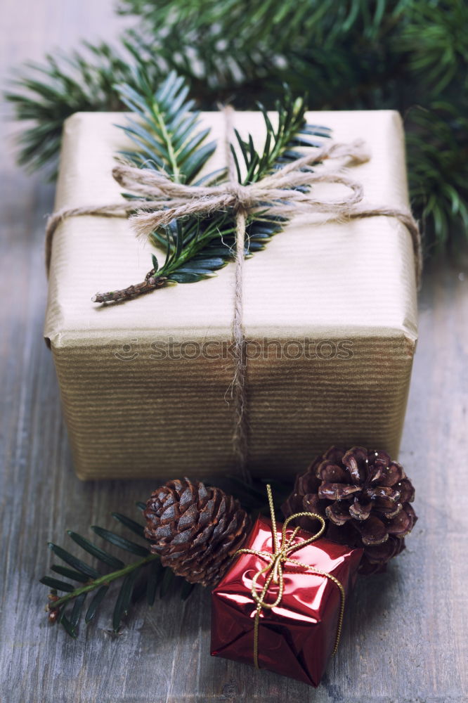 Similar – Foto Bild Papiertüte mit hölzernem Tannenbaum-Anhänger vor dunklem Hintergrund