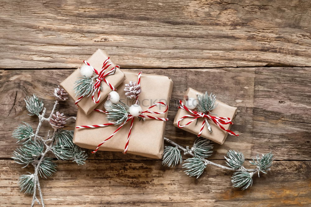 Gingerbread cookie on Christmas gift