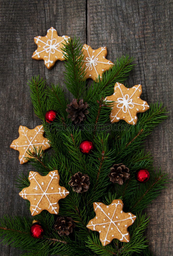 Similar – Image, Stock Photo Red Christmas star with branch of berries