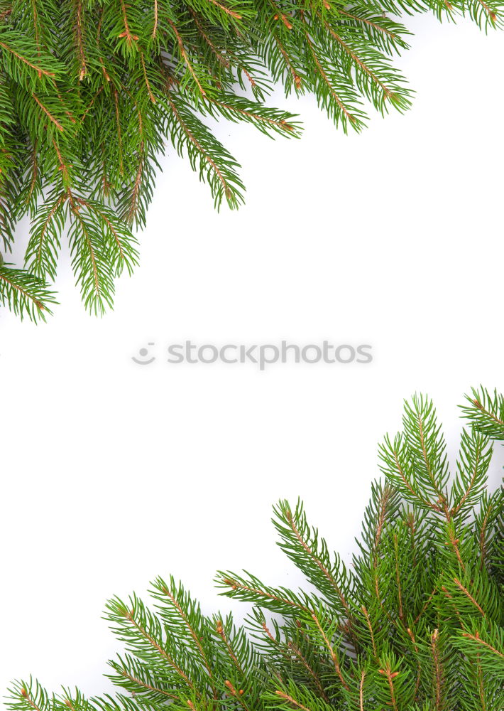 Similar – christmas tree after christmas