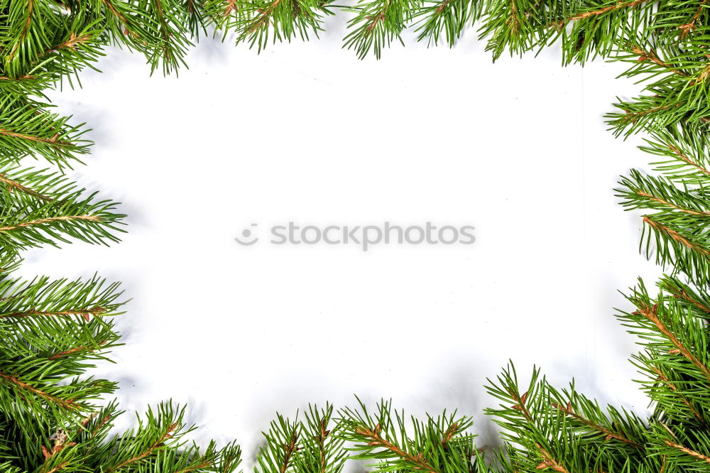 Similar – Oh Tannenbaum Natur Baum