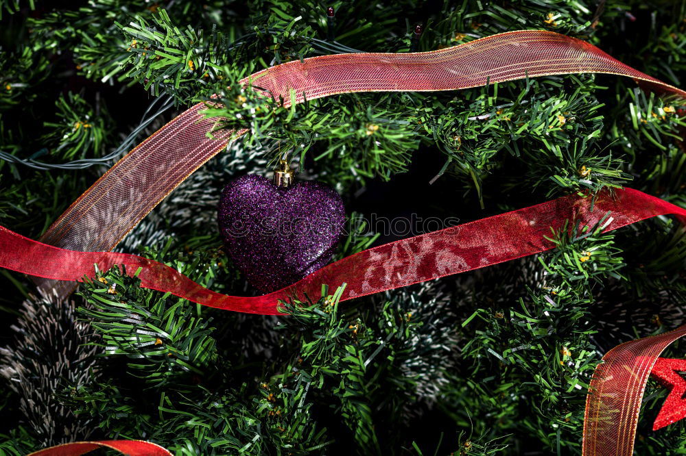 Similar – Image, Stock Photo Autumn flowers decoration handicraft
