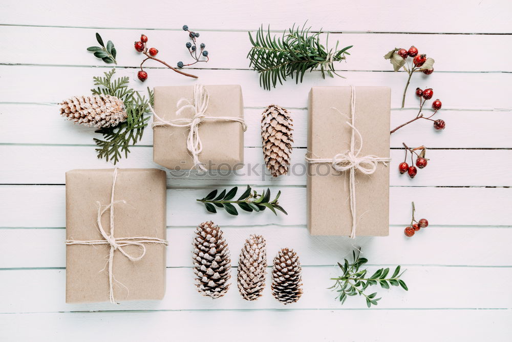 Similar – Mockup of photo frame with christmas ornaments