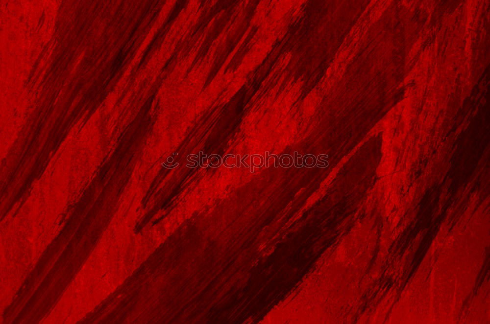 Similar – Foto Bild Blüte rot feucht Blume
