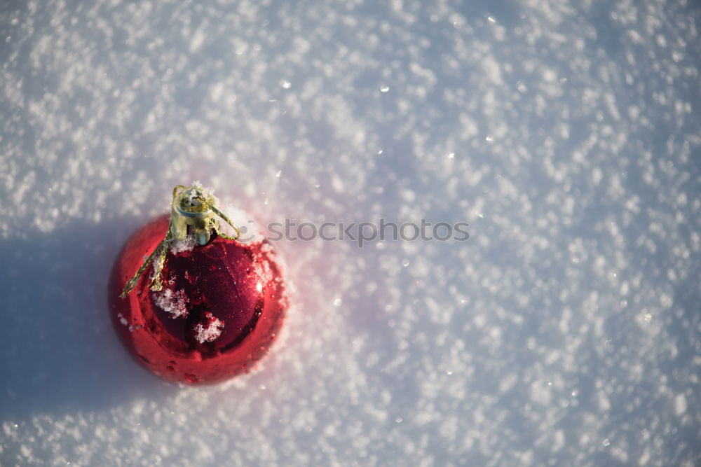 Similar – Image, Stock Photo … right next to the pear tree