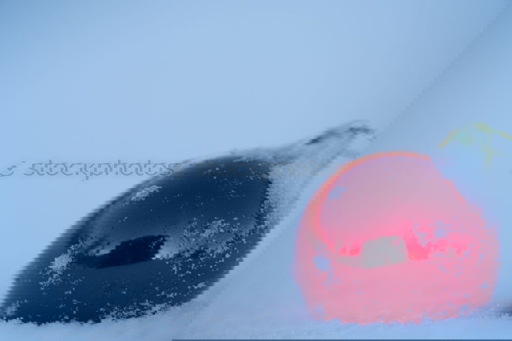 Similar – Image, Stock Photo summer meets winter Winter