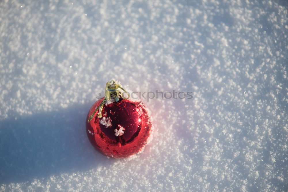 Similar – Image, Stock Photo … right next to the pear tree