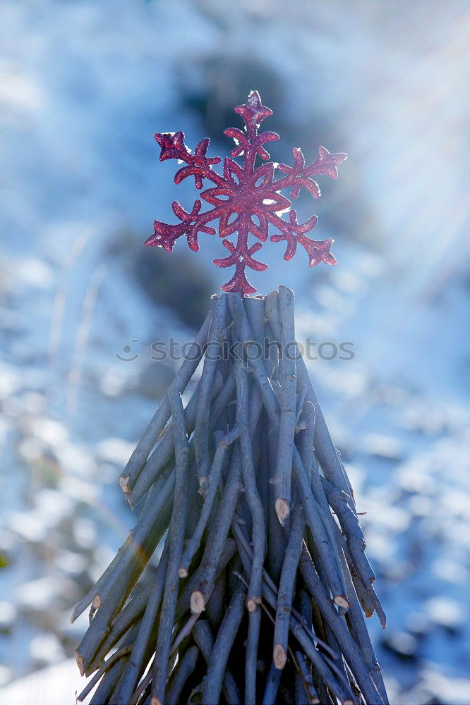 Similar – Image, Stock Photo summer meets winter Winter