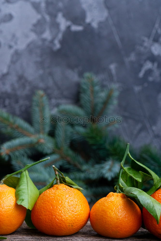 Similar – Image, Stock Photo Fresh mandarins with leaves on dark background