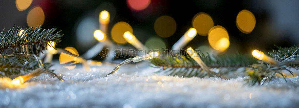 Image, Stock Photo Advent, Advent….. Garden