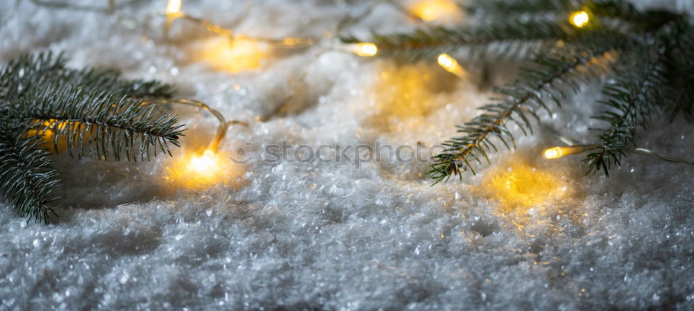 Similar – Natürlicher Weihnachtsbaum mit leuchtenden Lampen im Advent