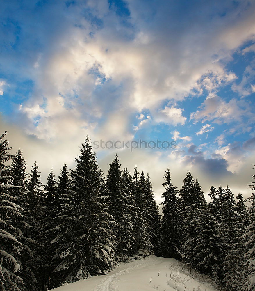 Similar – Image, Stock Photo morning sunrise over cabin in winter alpine forest and snow