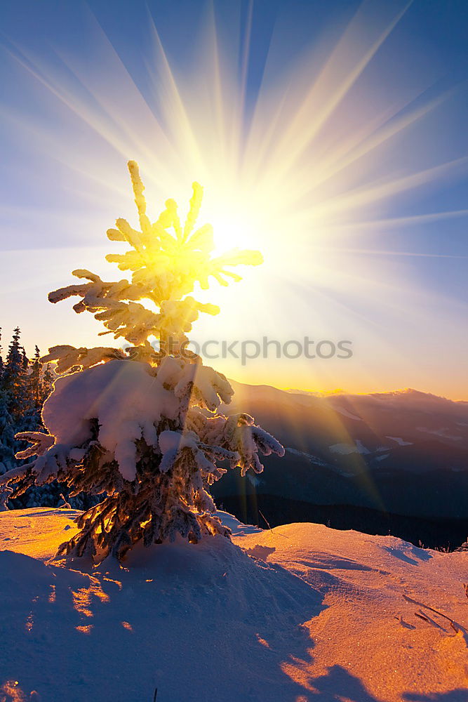 Similar – Image, Stock Photo Sunrise in Mühlviertel