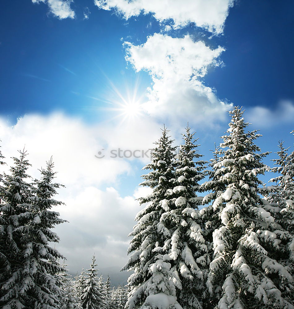 Similar – Schnee mit Sonne II.