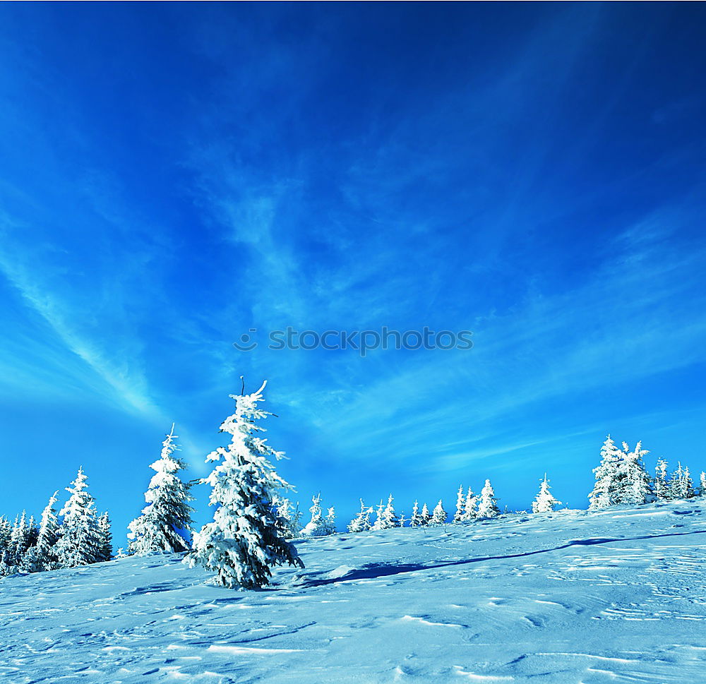 Similar – Image, Stock Photo Fairytale II Winter White