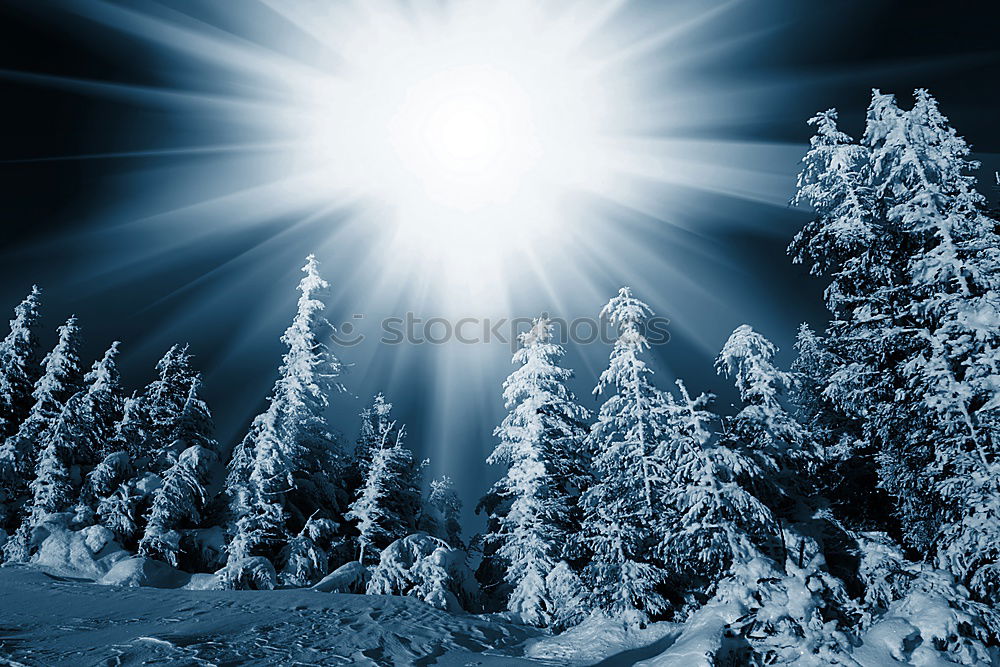 Similar – wintersun Winter Baum