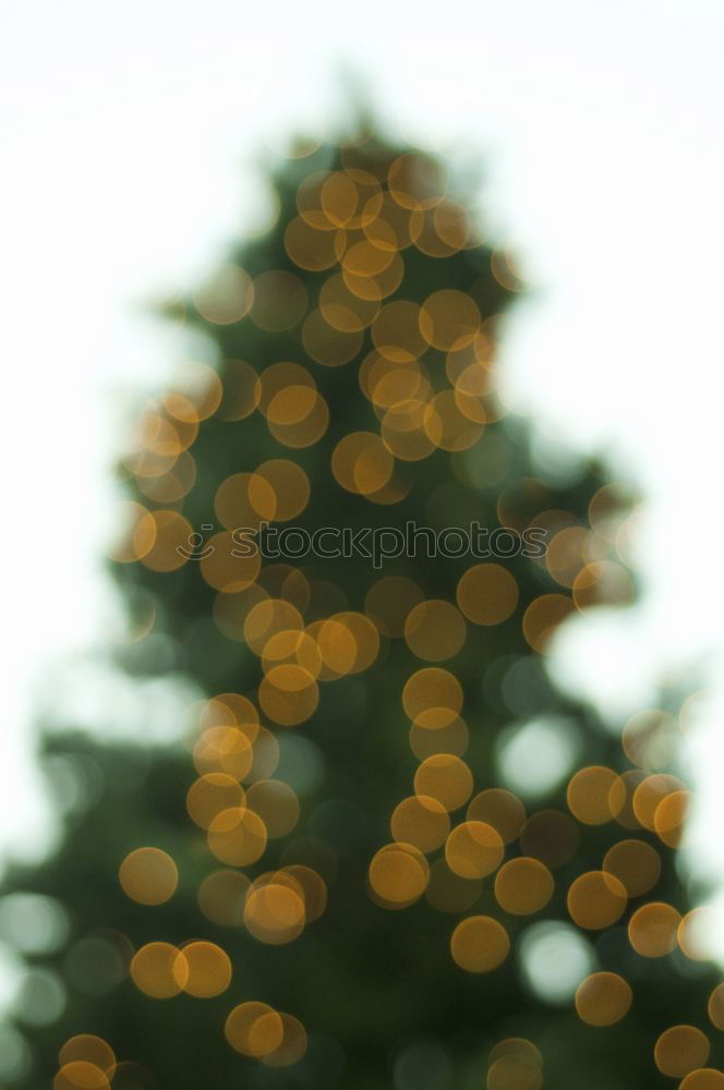 Similar – Kitschy, bizarre, decorated Christmas tree stands between wires, church, lamp and lantern in the city and lights up. Funny, abstract, bright, funny, urban Christmas mood with Christmas tree & light outside in front of blue sky in Advent