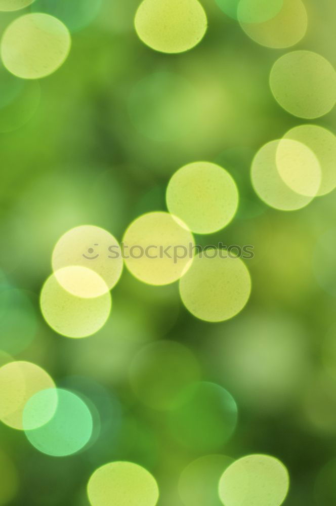 Similar – Image, Stock Photo Love in the grass Nature