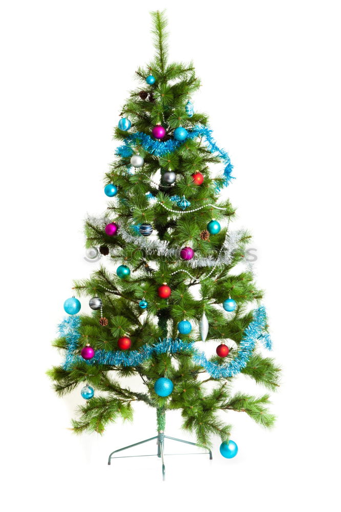 Similar – Christmas tree from cedar branches with gold star