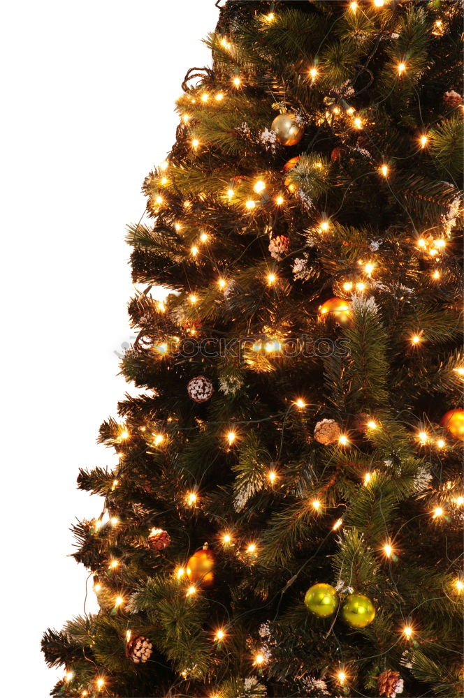 Similar – Woman in red sweater hold fir christmas tree