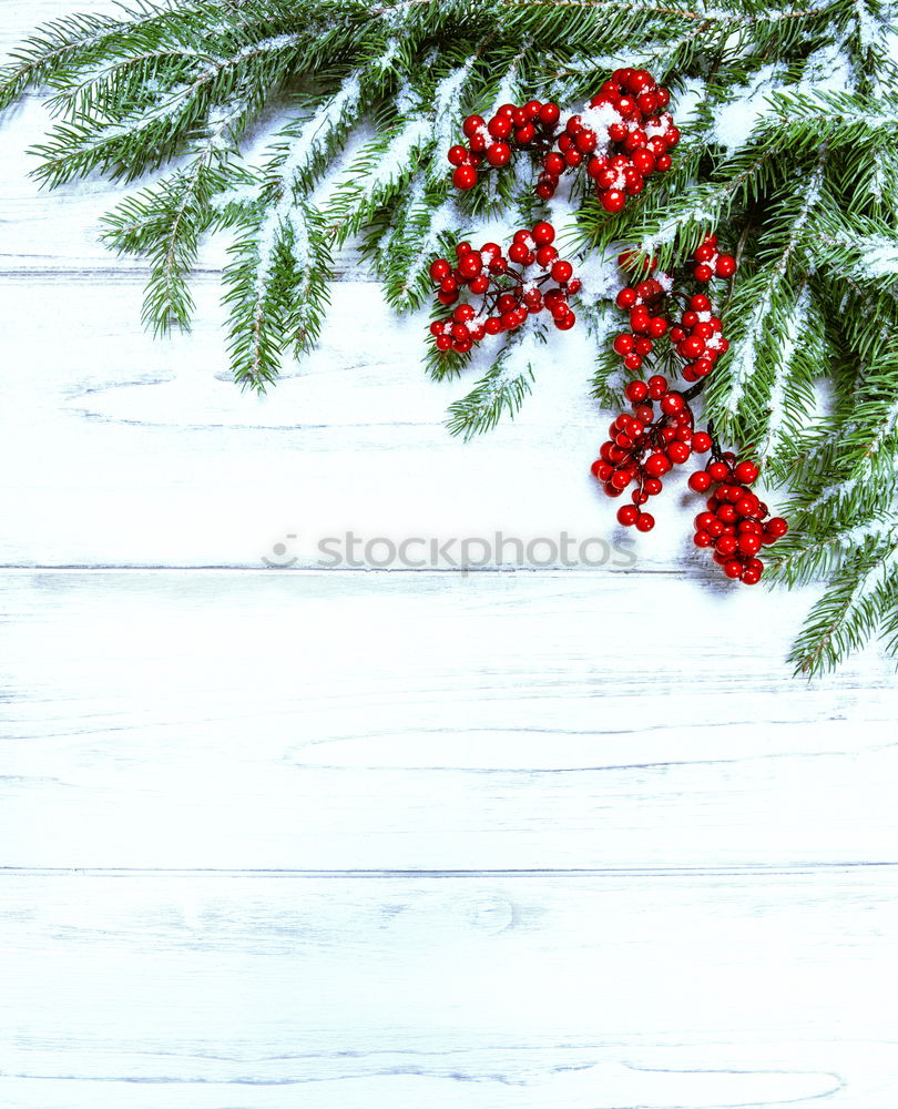 Similar – Image, Stock Photo christmas decoration holly