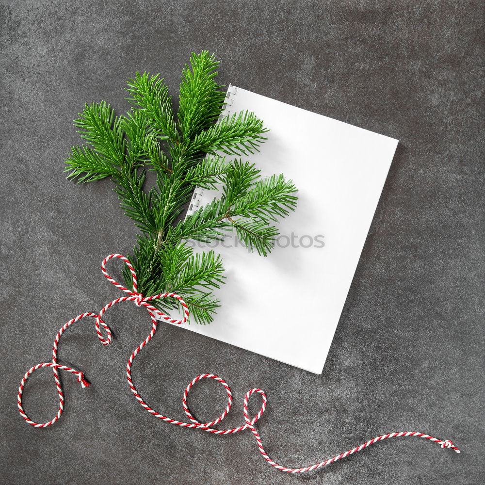 Similar – Foto Bild Papiertüte mit hölzernem Tannenbaum-Anhänger vor dunklem Hintergrund