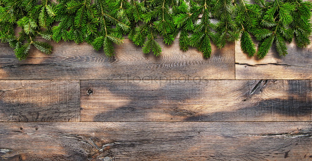 Similar – Image, Stock Photo roof garden Well-being