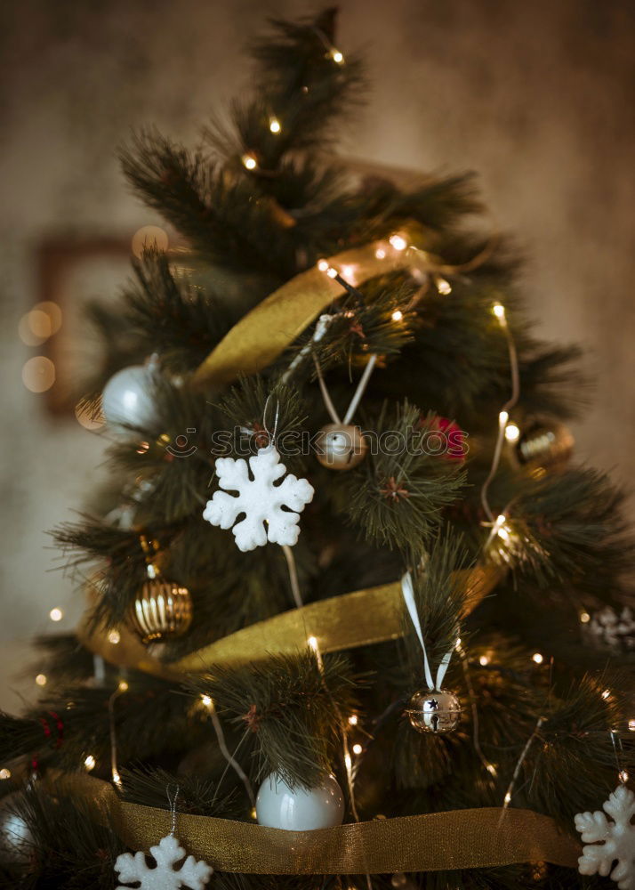 Similar – Image, Stock Photo Christmas fir shape on branch