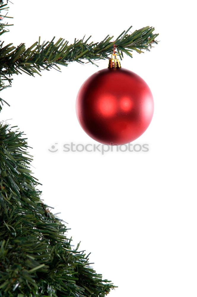 Similar – Oh Tannenbaum Natur Baum