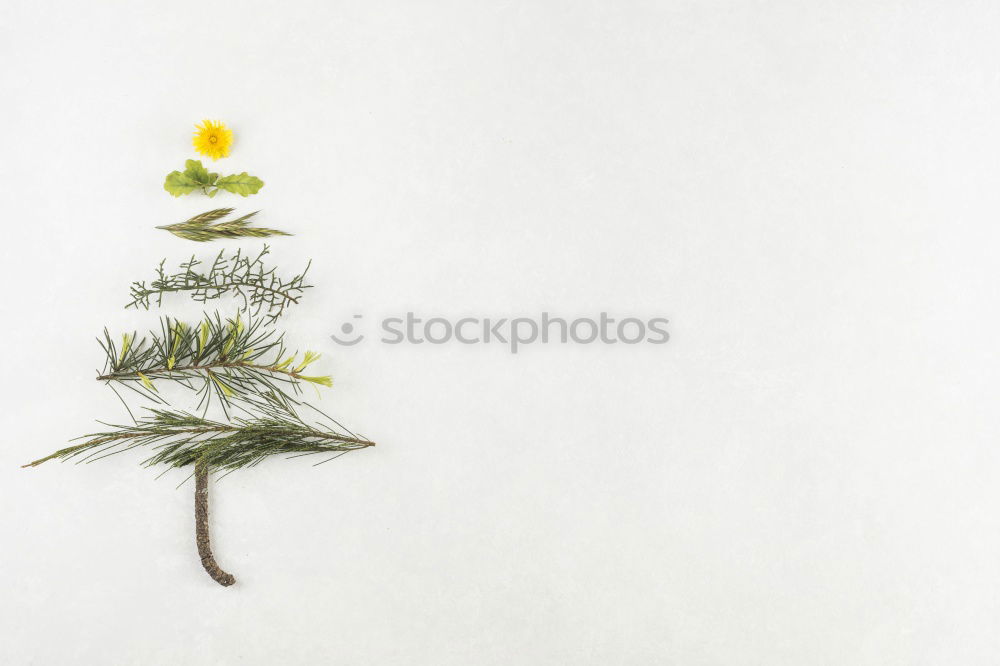 Image, Stock Photo Creative layout made of Christmas decorations.