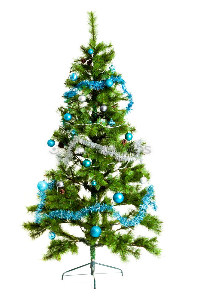 Similar – Christmas tree from cedar branches with gold star