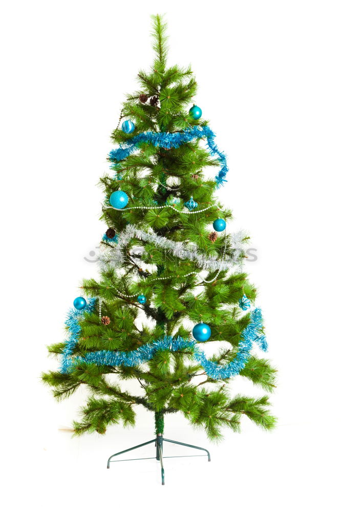 Similar – Christmas tree from cedar branches with gold star