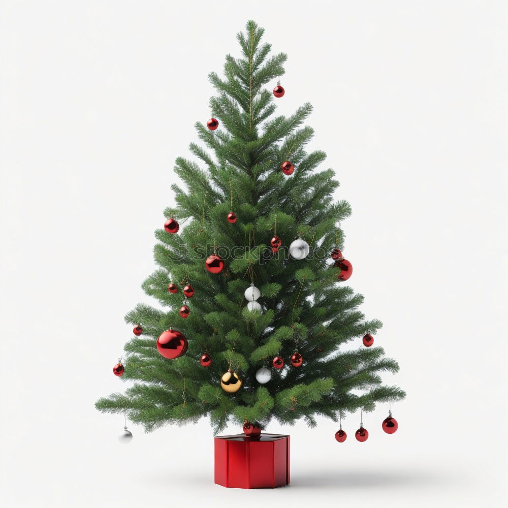 Similar – Christmas tree from cedar branches with gold star