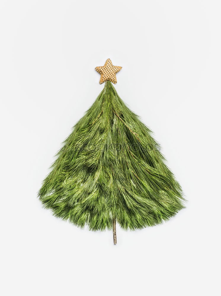 Christmas tree from cedar branches with gold star