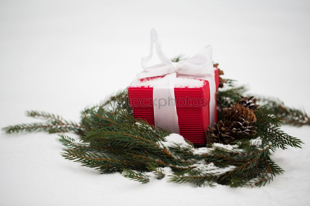 Similar – Image, Stock Photo Christmas present on snow