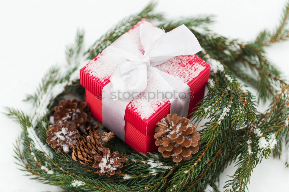 Similar – Image, Stock Photo Christmas present on snow