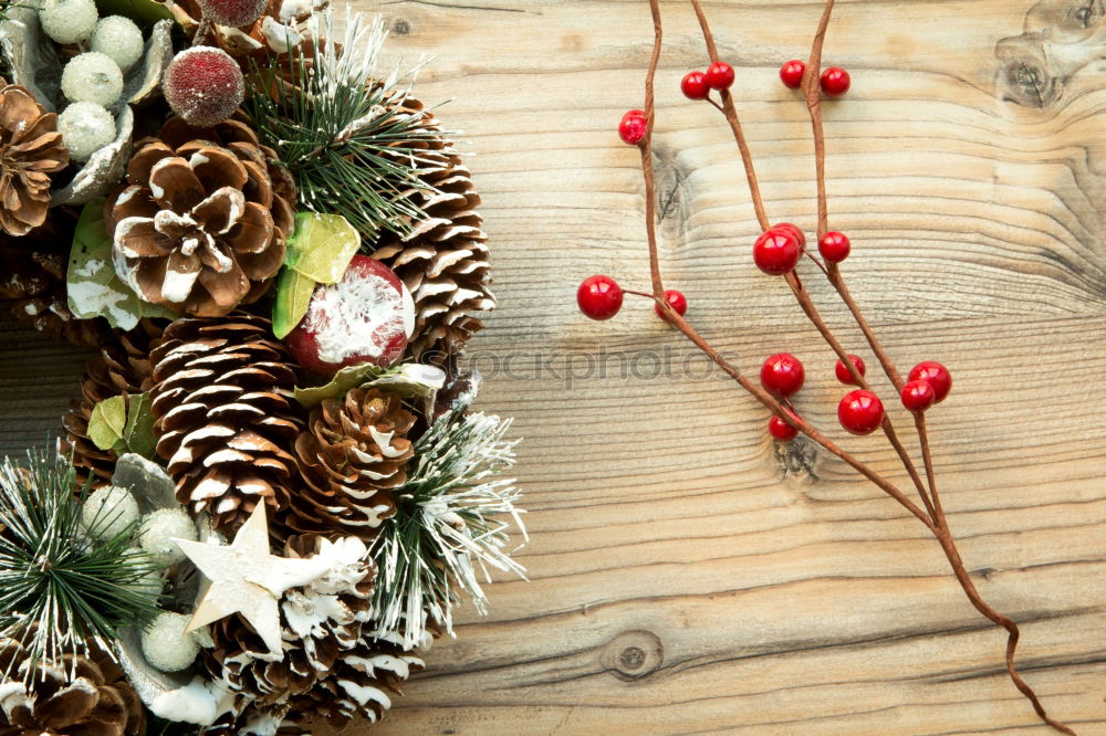 Similar – Image, Stock Photo Christmas decoration with lights and pine twigs