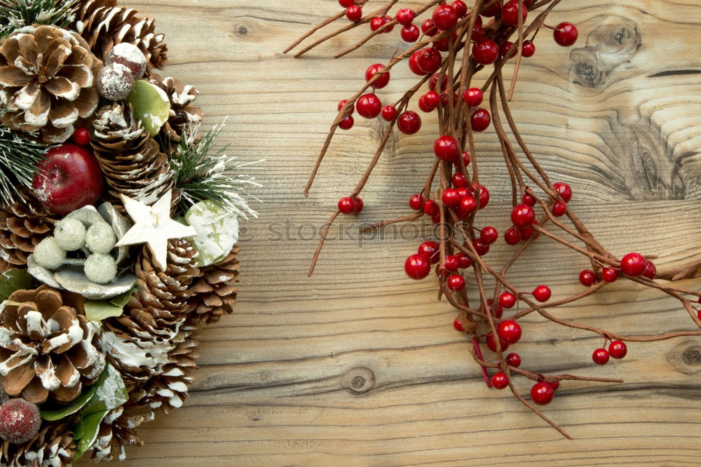 Similar – Image, Stock Photo Christmas decoration with lights and pine twigs