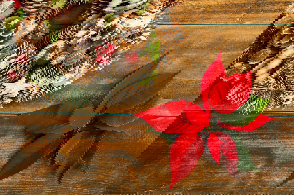 Similar – Image, Stock Photo Delicate Christmas wreath of pine cones on wooden background