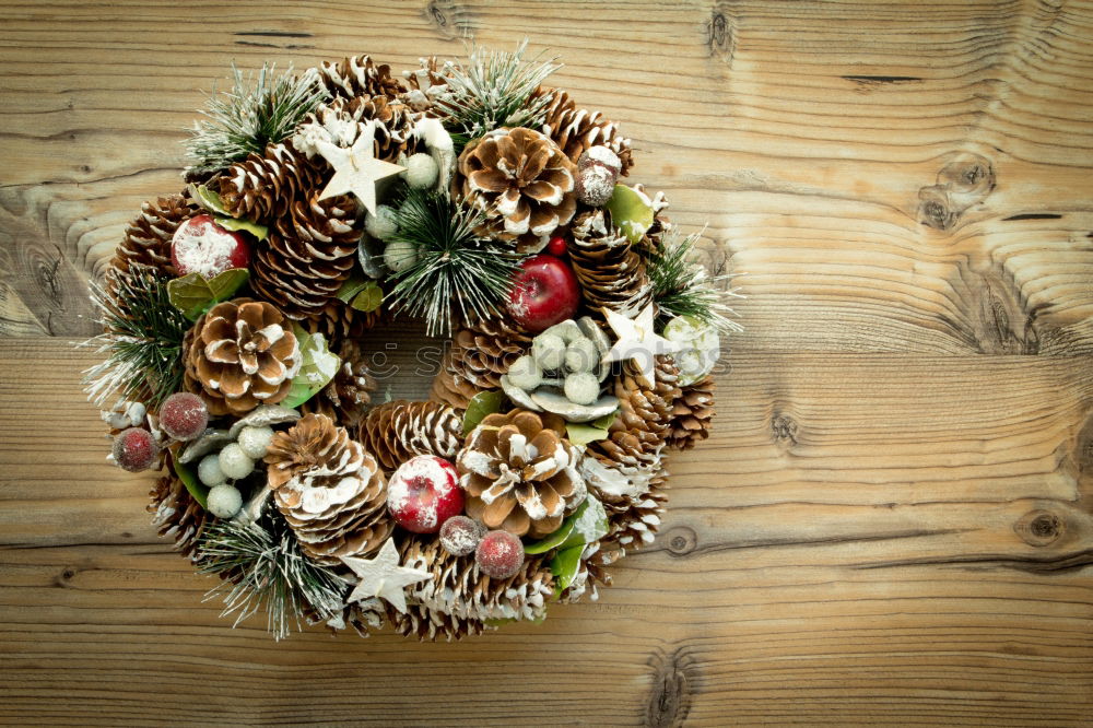 Similar – Image, Stock Photo Christmas wreath Winter