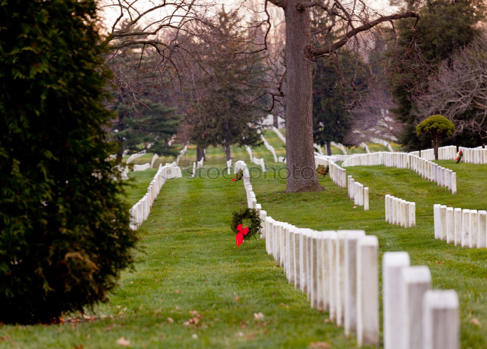 Similar – Image, Stock Photo 60 years later Cemetery