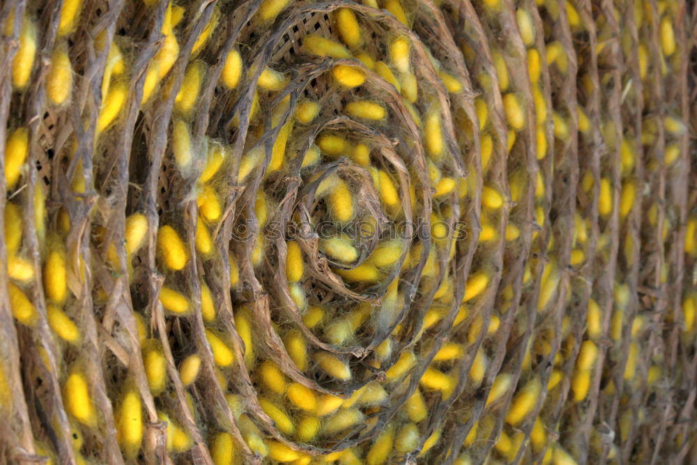 Similar – Fishnets on fish boat. Yellow net.