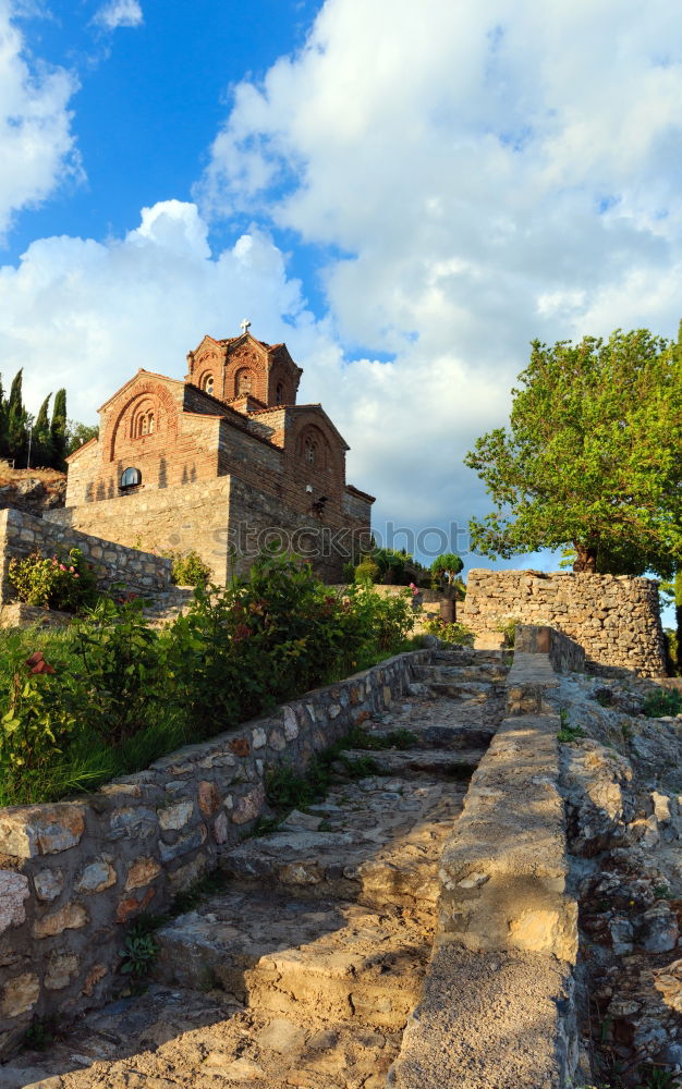 Similar – Image, Stock Photo Forum Romanum: Semper floreat!