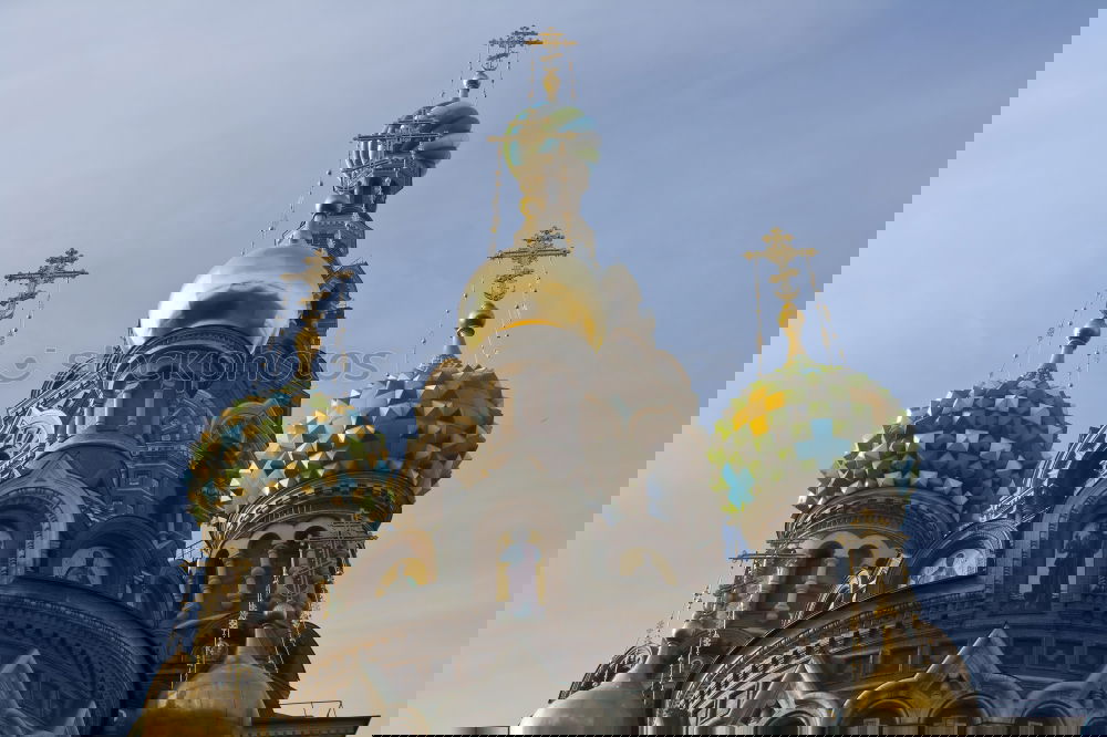 Similar – Foto Bild Windschief Rücken