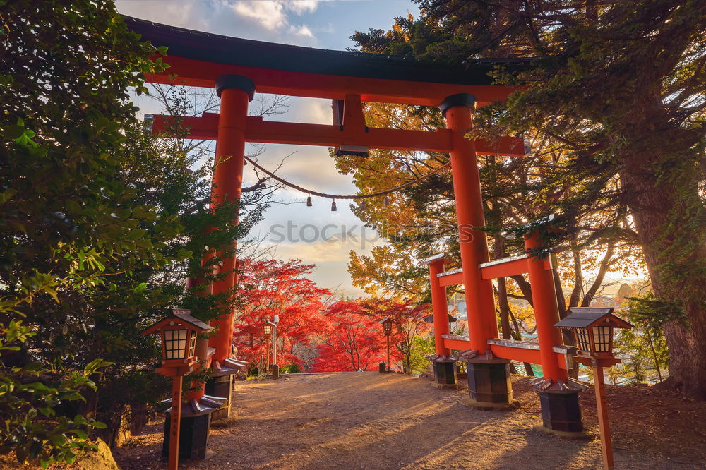 Similar – Japanese arches and path