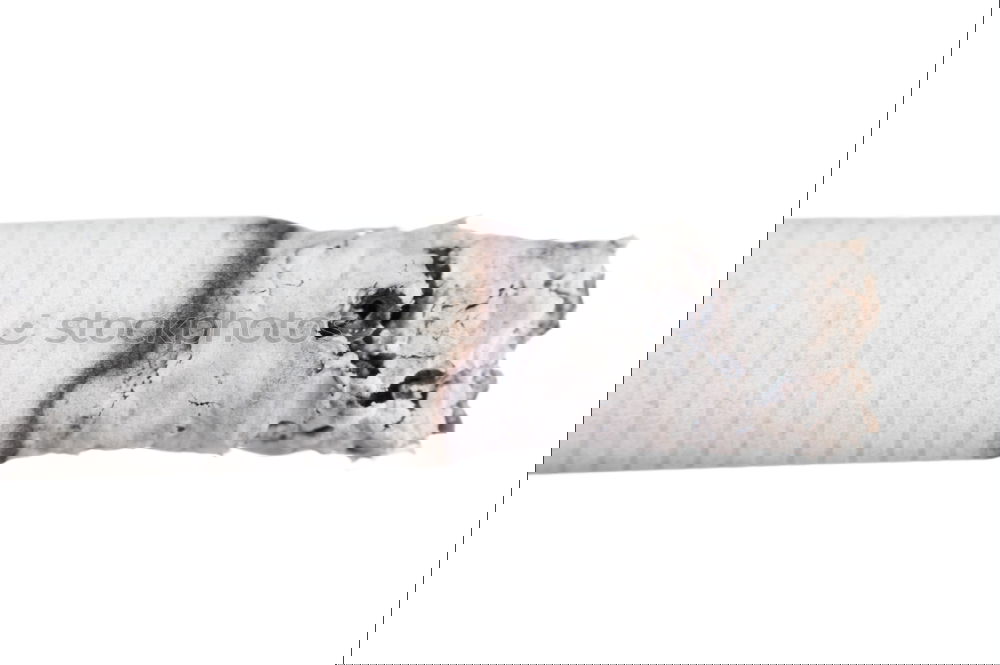 klobild Flat (apartment)