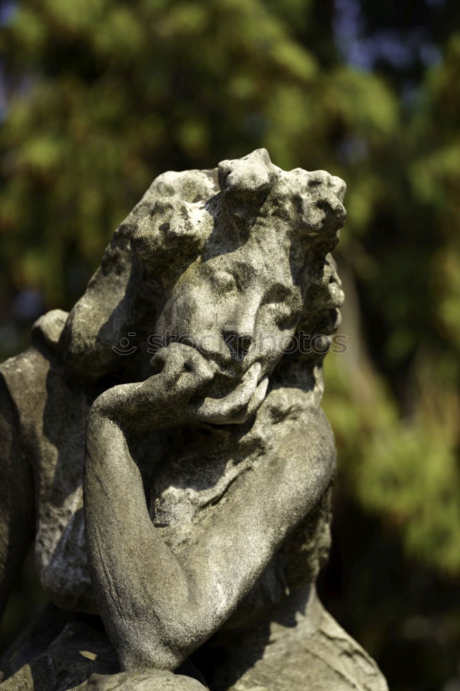Similar – Foto Bild Dr. Löwenzahn Büste Bronze