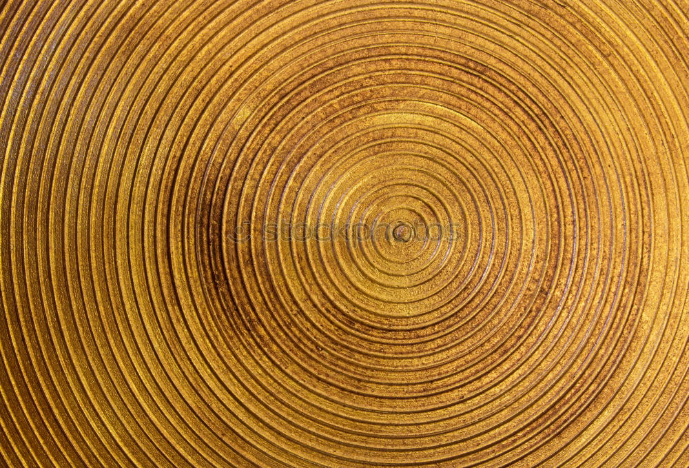 Similar – Image, Stock Photo Wood on wood Table