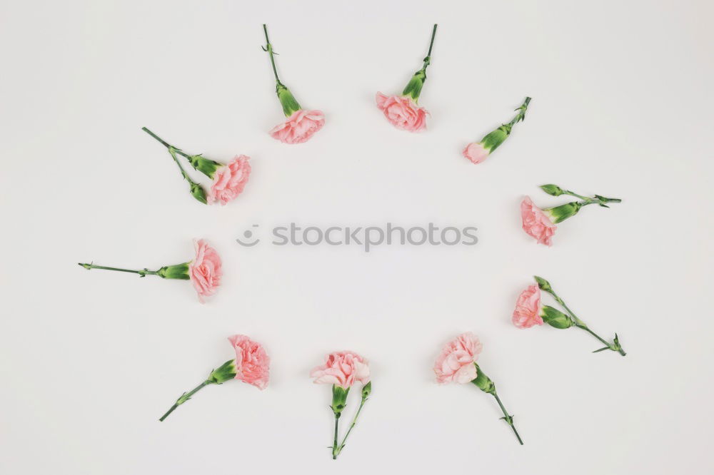 Similar – Image, Stock Photo Round flower frames with pink flowers, marker and bow